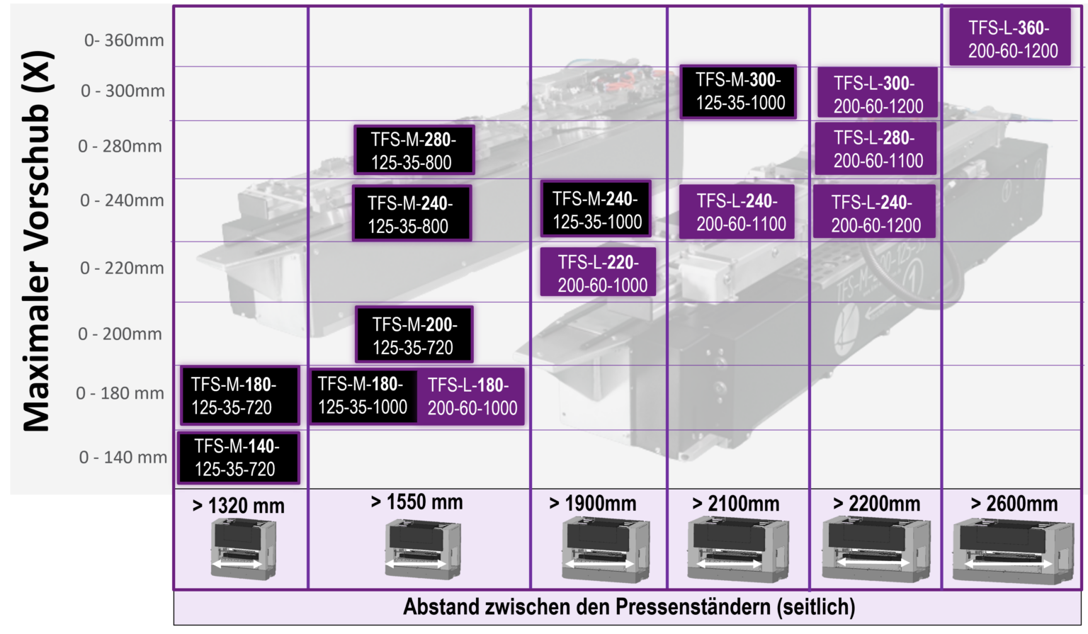 Überblick TFS Modelle